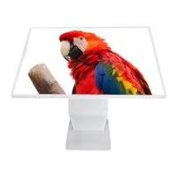 Buy cheap China Factory Supply 55inch Multi-Touch Floor Stand Windows OS Kiosk product