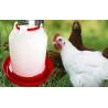 Buy cheap High Quality Poultry Farming Automatic Plastic Chicken Feeders and Drinkers QL603 from wholesalers