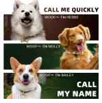 Brass Dog Tags Pet Engraved Id Tags Double Sided Deep Engraved