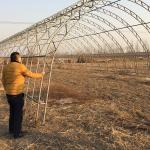 Buy cheap Double Arches Double Film Agricultural Growing 10X50m Single Span Greenhouse from wholesalers