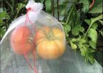 PE Fruit Saver Drawsting Fruit Protect Bags Insect Mesh Netting Bag Flower