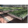 Buy cheap Hydroponics Ebb And Flow Rolling Benches Greenhouse Plant Trays UV Protection from wholesalers