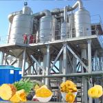 Sterilizing SS316 Pineapple Processing Line 1500T/Day
