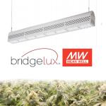 3'*3' Coverage High End Led Grow Lights For Outdoor Plants 3 Years Warranty