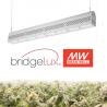 Buy cheap 3'*3' Coverage High End Led Grow Lights For Outdoor Plants 3 Years Warranty from wholesalers