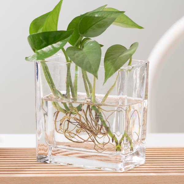 Buy cheap Transparent 350ml Home Decoration Glass Pressed Small Rectangle Glass Vase from wholesalers