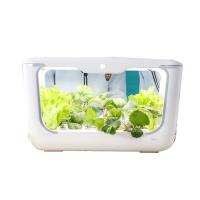 Buy cheap Self Watering Garden Germination Hydroponic Growing Systems product