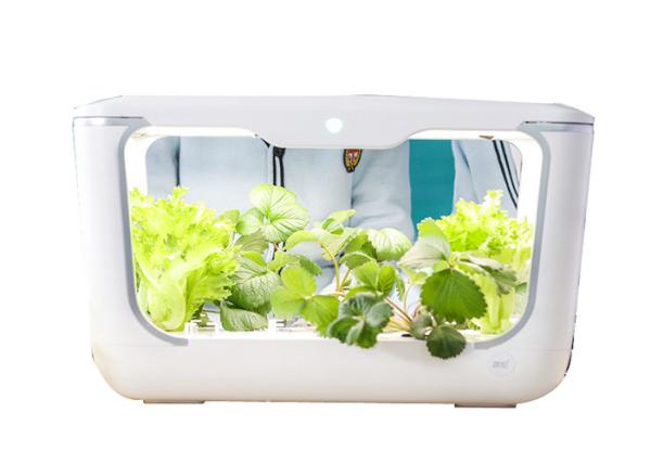 Buy cheap Self Watering Garden Germination Hydroponic Growing Systems from wholesalers