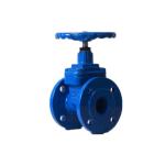 Flange Type Soft Seated Water Gate Valves Rubber Wedge Gate Valve