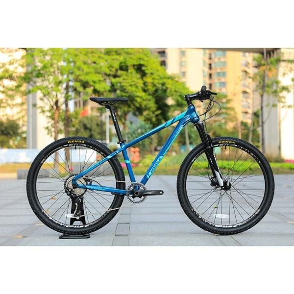 High Configuration 30 Speed 29 Inch Carbon Fiber Mountain Bike with SMN M6000