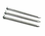 Latest Metal Building Galvanized Steel Concrete Nails 2 Inch