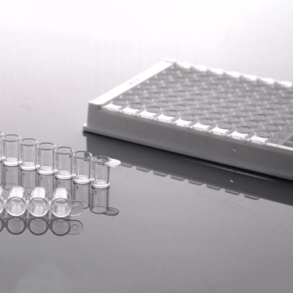 Quality P3 Laboratory ANSI ELISA 504201 PCR Well Plate for sale