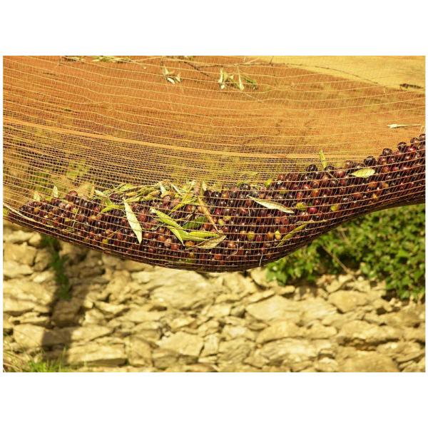 Buy cheap Olive Picking Nets, Fruit Harvest Net from wholesalers