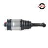 Buy cheap LR016420 Lange Rover Rear Shock Absorbers from wholesalers