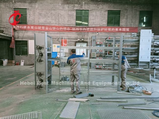 Hot Galvanized 20 Years Lifespan Full Automatic Feeding Manure Cleaning And Egg Collection System Cage Sell Adela