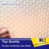 Buy cheap PLASTIC LENTICULAR wholesale plastic 3d fly eye lenticular sheet micro lens film material from wholesalers