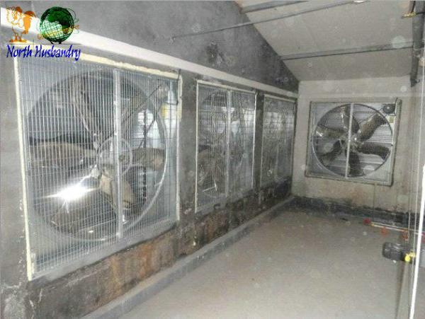 Buy cheap poultry fan for chicken house from wholesalers