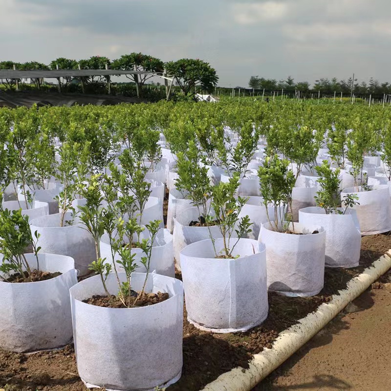 Customize Hot Selling non woven fabric Biodegradable plant bag breathable flet tree grow bag large nursery bag with handle