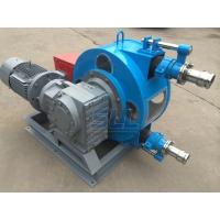 Buy cheap Durable Concrete Foam Transfer Industrial Peristaltic Pump Cycloidal Reducer product