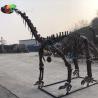 Buy cheap CE Jurassic Park Dinosaur Skeleton Replica Shunosaurus Skeleton weather reistance from wholesalers