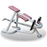 Buy cheap Lying T-Bar Row from wholesalers