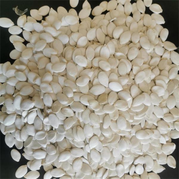 Buy cheap Discover the Deliciousness of Fried Snow White Pumpkin Seed from wholesalers