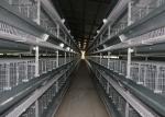 Wire Design Chicken Poultry Cage , Chick Rearing Cage Less Than 0.05% Egg Broken
