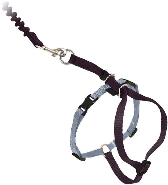 Buy cheap Adjustable Nylon Cat Harness Collar With Bungee Leash from wholesalers