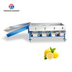 280KG Lemon screening and grading machine special stainless steel roller fruit