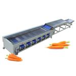 Buy cheap Carrot Onion Potato Grading Machine Fruit And Vegetable Sorting Machine from wholesalers