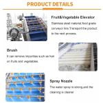 Leafy Vegetables And Fruits Cleaning Lettuce Washer Potatoes Washing Machine
