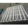 Buy cheap White Color Plastic Slat Flooring Plastic Goat Flooring Lightweight 60 X 60CM from wholesalers