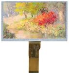 IPS Capacitive Glass Type VA LCD Display 5" 800*480 Full View