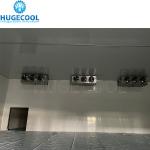 Galvanized Steel Seafood Processing Cold Storage Freezer with Sliding Door