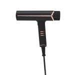 BLDC Hair Dryer Hair dryer 1200W Concentrator Nozzle Professional AC Motor Hair