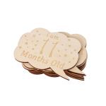 Cloud shaped Baby Monthly Milestone Cards Wooden Printed Milestone Discs for