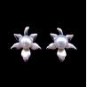 Buy cheap Flower Shape Inset Fres Freshwater Pearl Drop Earrings For Engagement from wholesalers
