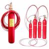 Buy cheap Carbon Dioxide Fire Detecting Extinguisher Professional Manufacturers Direct Sales Quality Assurance Price Concessions from wholesalers