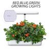 Buy cheap Water tank capacity 4L Smart Indoor Garden hydroponic Garden Planter led growth light from wholesalers