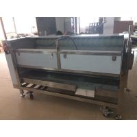 Buy cheap Apricot Peach Fresh Potato Ginger Washing And Peeling Machine Kitchen 3 KW product