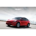 Model Y AWD Long Range Bumper Cable Gantry Line OE 2489050 For Tesla Y Original