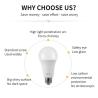 Buy cheap lncandescent Exit Sign Blub flicker free E27 E26 B22 Battery Capacity 1200mAH from wholesalers