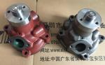 Italy IVECO diesel engine parts，Iveco generator accessories，Iveco water pump