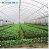 Buy cheap Tunnel Plastic Film Greenhouse / Vegetable Greenhouse Climate Control Economical from wholesalers