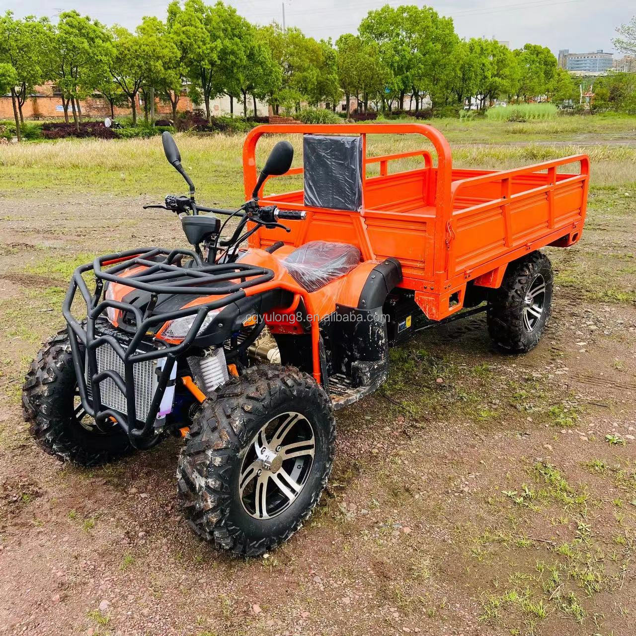 800 1000W 2 Cylinder Water-Cooled ATV 250CC 4X4 Off Road Buggy with Cargo Buckets