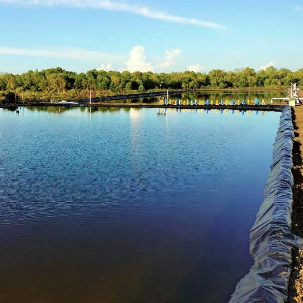 Buy cheap Environmentally-friendly HDPE geomembrane plastic liner for fish farm pond liner from wholesalers