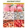 Buy cheap Freeze Dryer Equipment Fruit candy Meat Freeze Dryer 220V Freeze Dry Machine from wholesalers