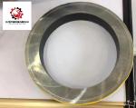 OEM Schwing Concrete Pump Truck Parts SPL1000 Wear Plate