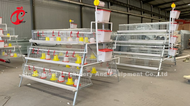 Rearing Cage Poultry Farm Brooder Breeding Equipment Sandy