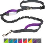4 Feet Long Bungee Dog Lead With Reflective Stitching